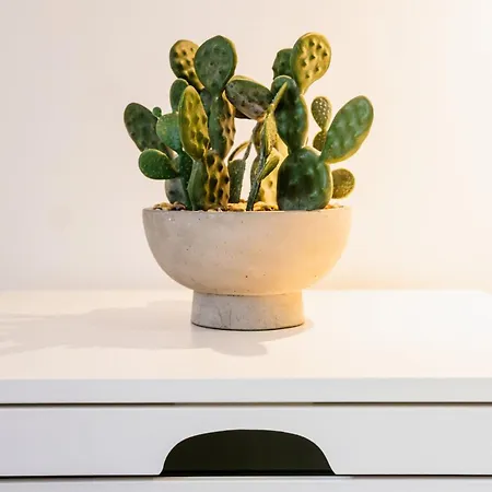 In Campo De Ourique アパート *