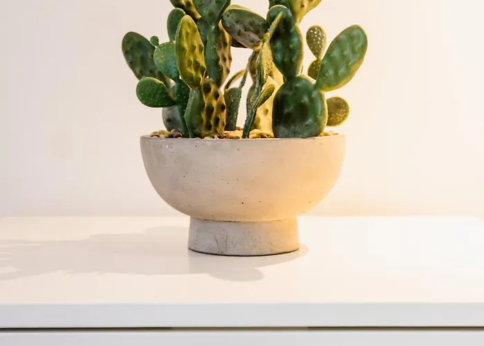 In Campo De Ourique 아파트 *