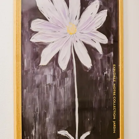 In Campo De Ourique Lisboa